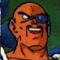 nappa.jpg (3509 bytes)