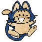 puuar.jpg (4124 bytes)